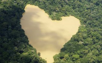 Governo Temer anuncia redução de 16% no desmatamento da Amazônia