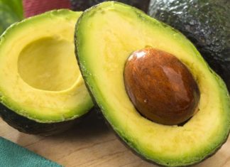 O abacate e sua importância à saúde