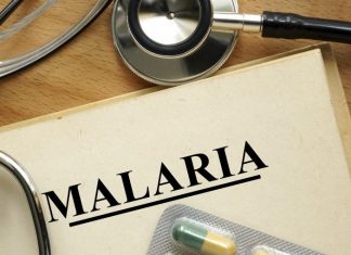 Manaus registra redução de quase 9% nos casos de malária