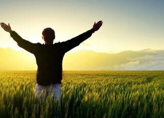 Hábitos que ajudam a ter uma saúde mais plena