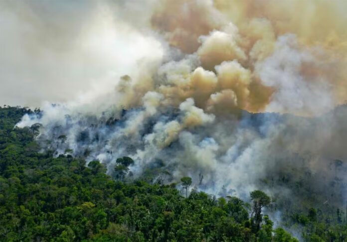 Fogo-consome-a-floresta-amazonica-no-Para-em-2024-Foto-Carl-de-Souza-AFP-